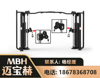 酒泉大飞鸟训练器
