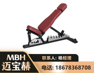 酒泉可调哑铃椅